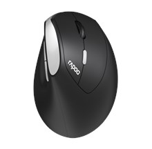 RAPOO EV250 RAPOO-EV250